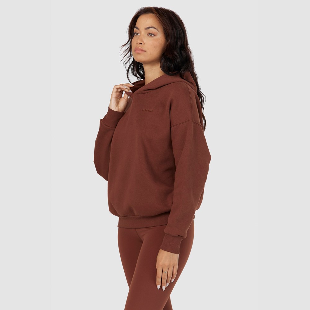 Lounge Underwear 365 Oversized Hoodie Chocolat | APIVWN-695