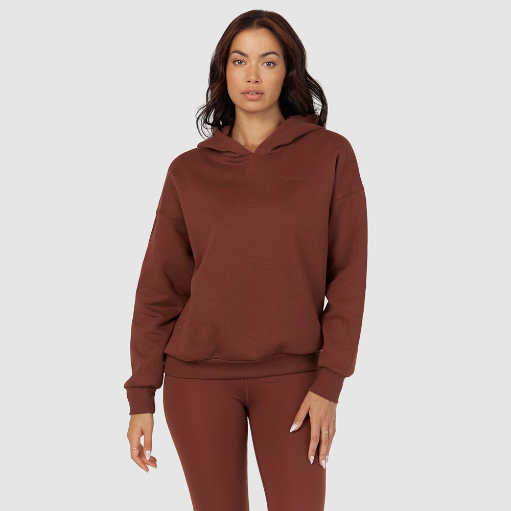 Lounge Underwear 365 Oversized Hoodie Chocolat | APIVWN-695