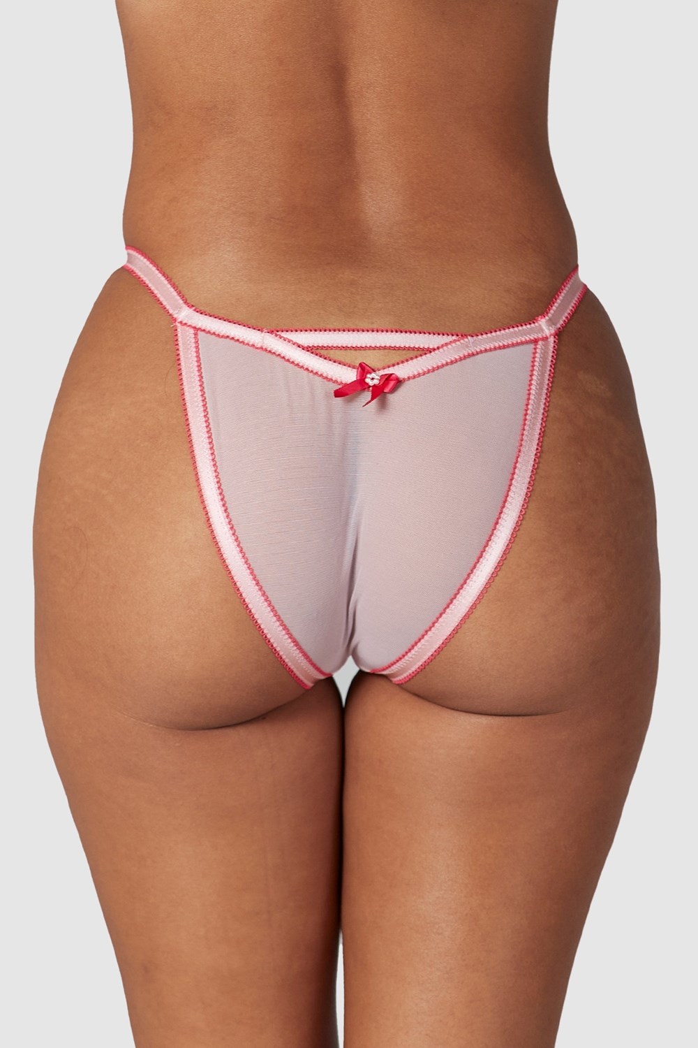 Lounge Underwear Bloom Embroidered Briefs Rose | WXBPTR-564