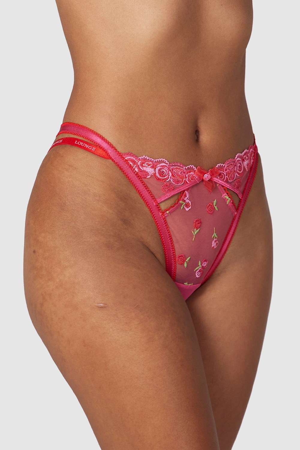 Lounge Underwear Blush Embroidered Briefs Rose | FTKPRQ-290