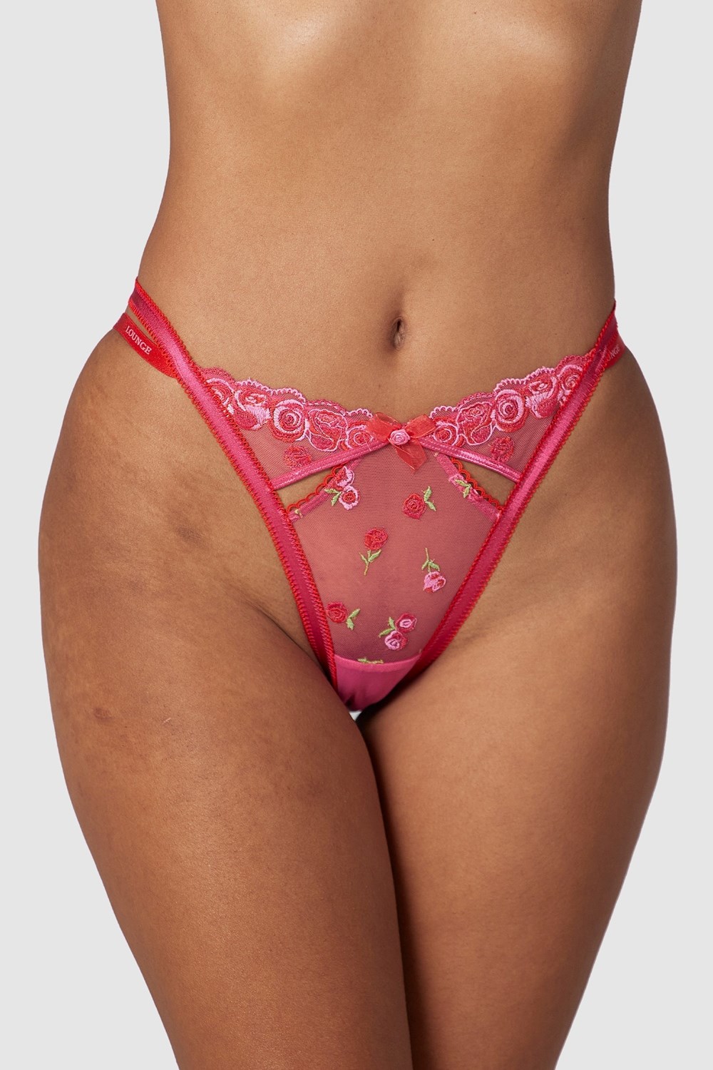 Lounge Underwear Blush Embroidered Briefs Rose | FTKPRQ-290