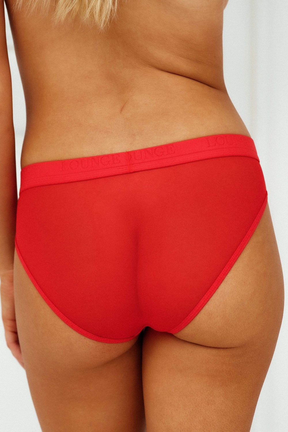 Lounge Underwear Mesh Briefs Rouge | LWSVZX-359