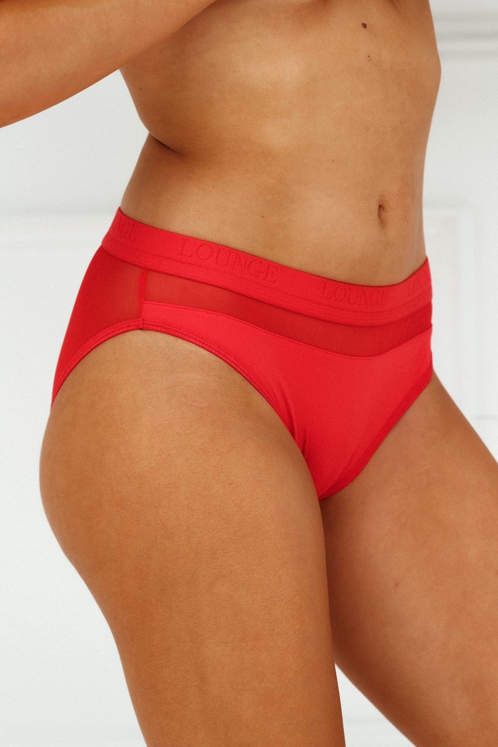 Lounge Underwear Mesh Briefs Rouge | LWSVZX-359