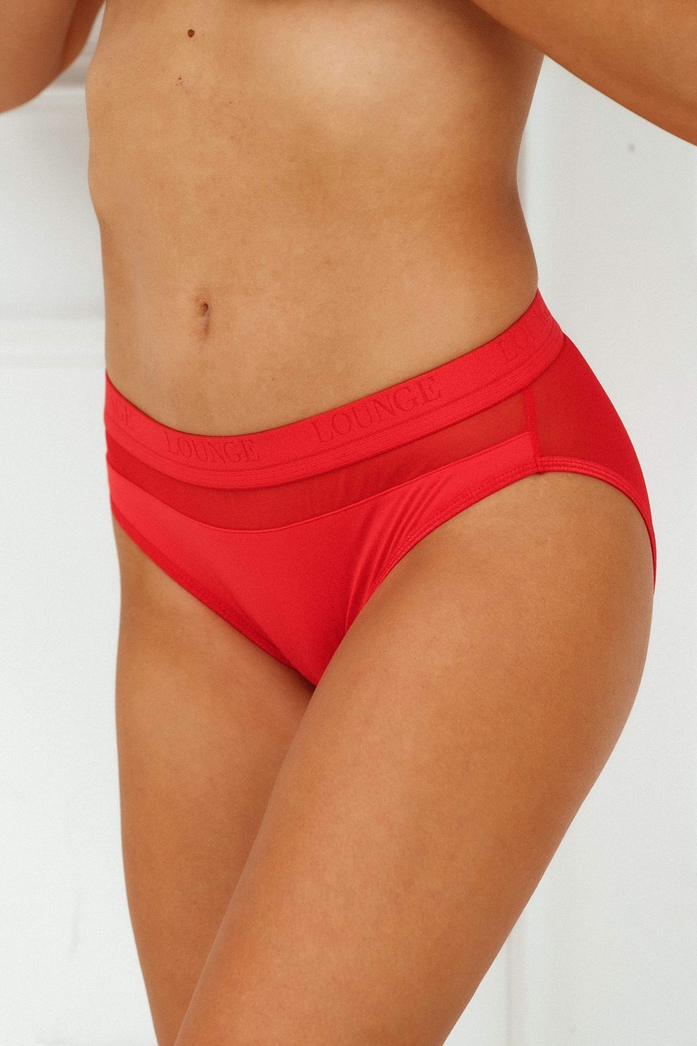 Lounge Underwear Mesh Briefs Rouge | LWSVZX-359