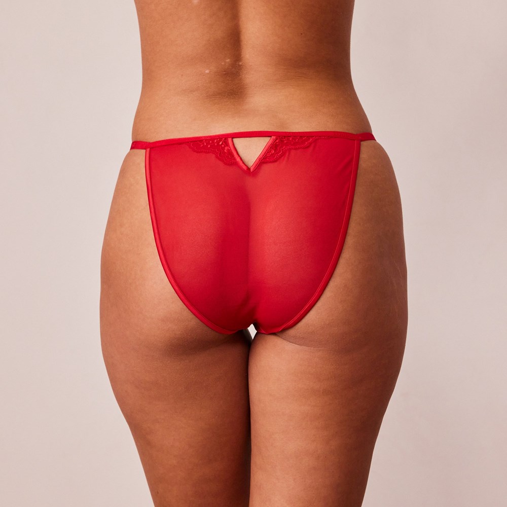 Lounge Underwear Seduce Briefs Bordeaux | BYEZGR-976