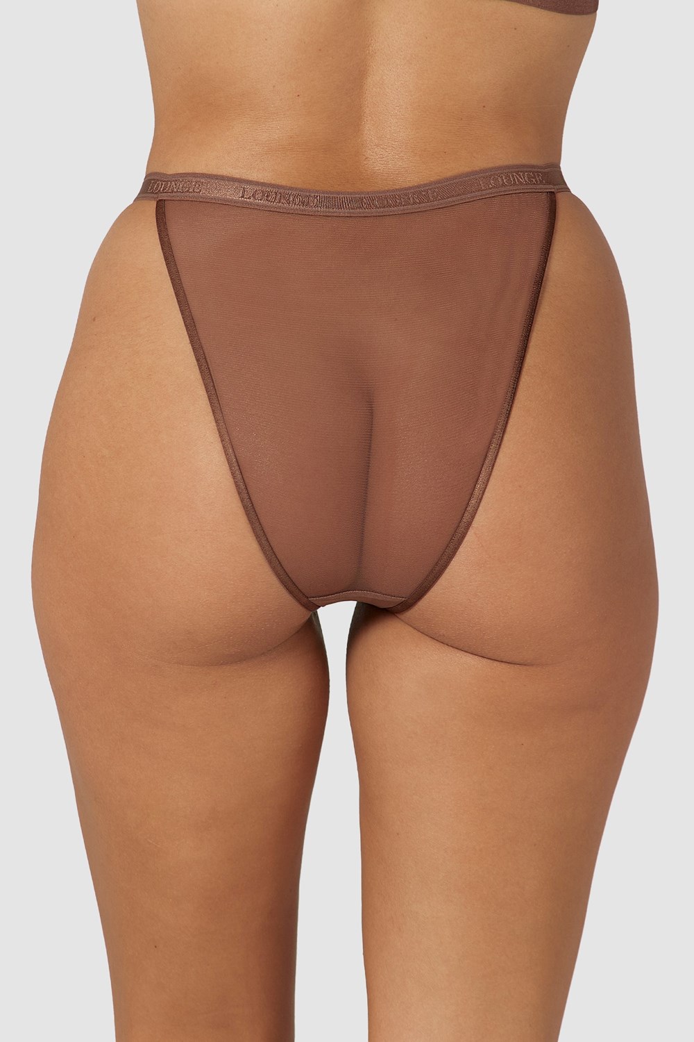 Lounge Underwear Smooth Mesh Briefs Chestnut | PIRWJV-287