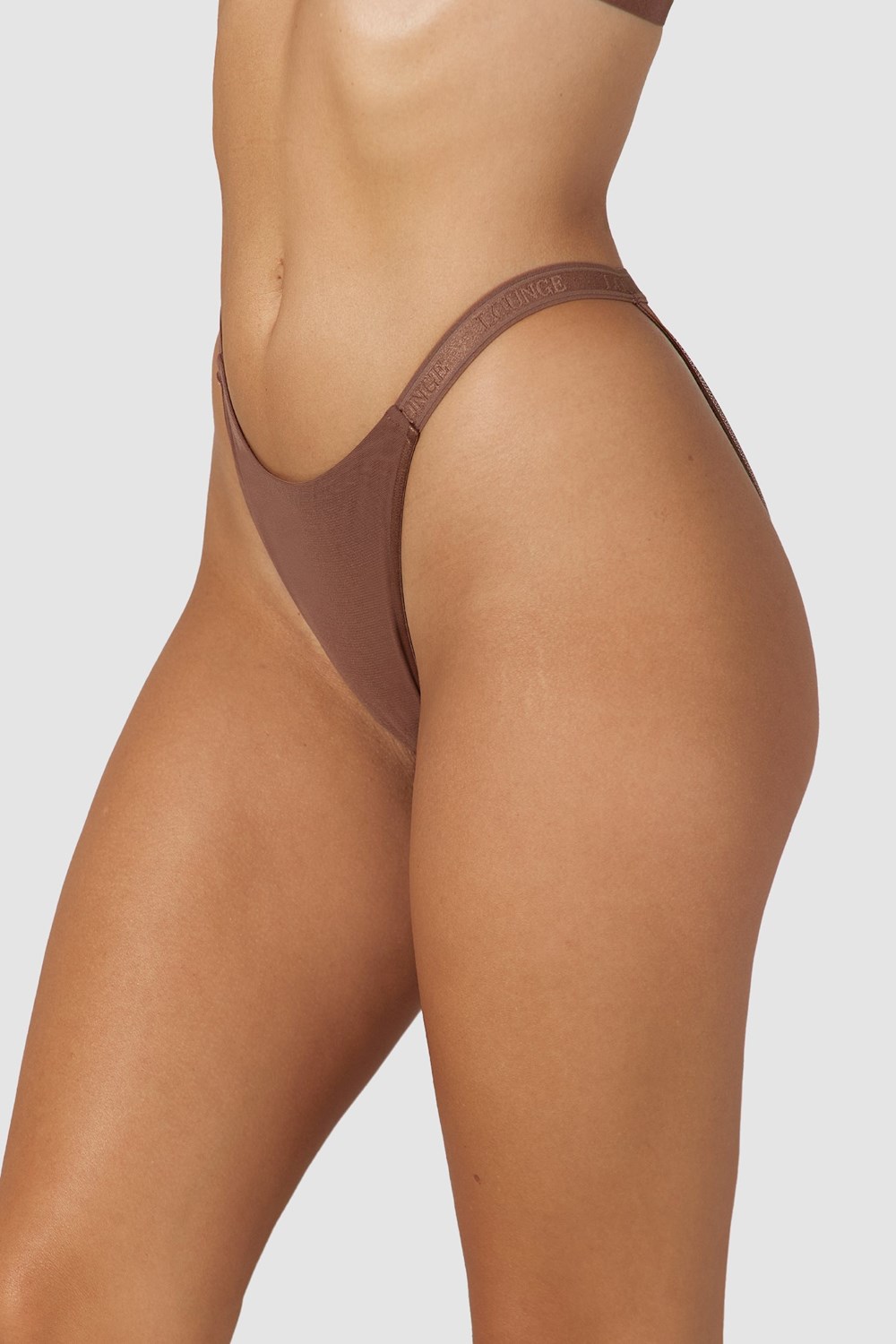 Lounge Underwear Smooth Mesh Briefs Chestnut | PIRWJV-287